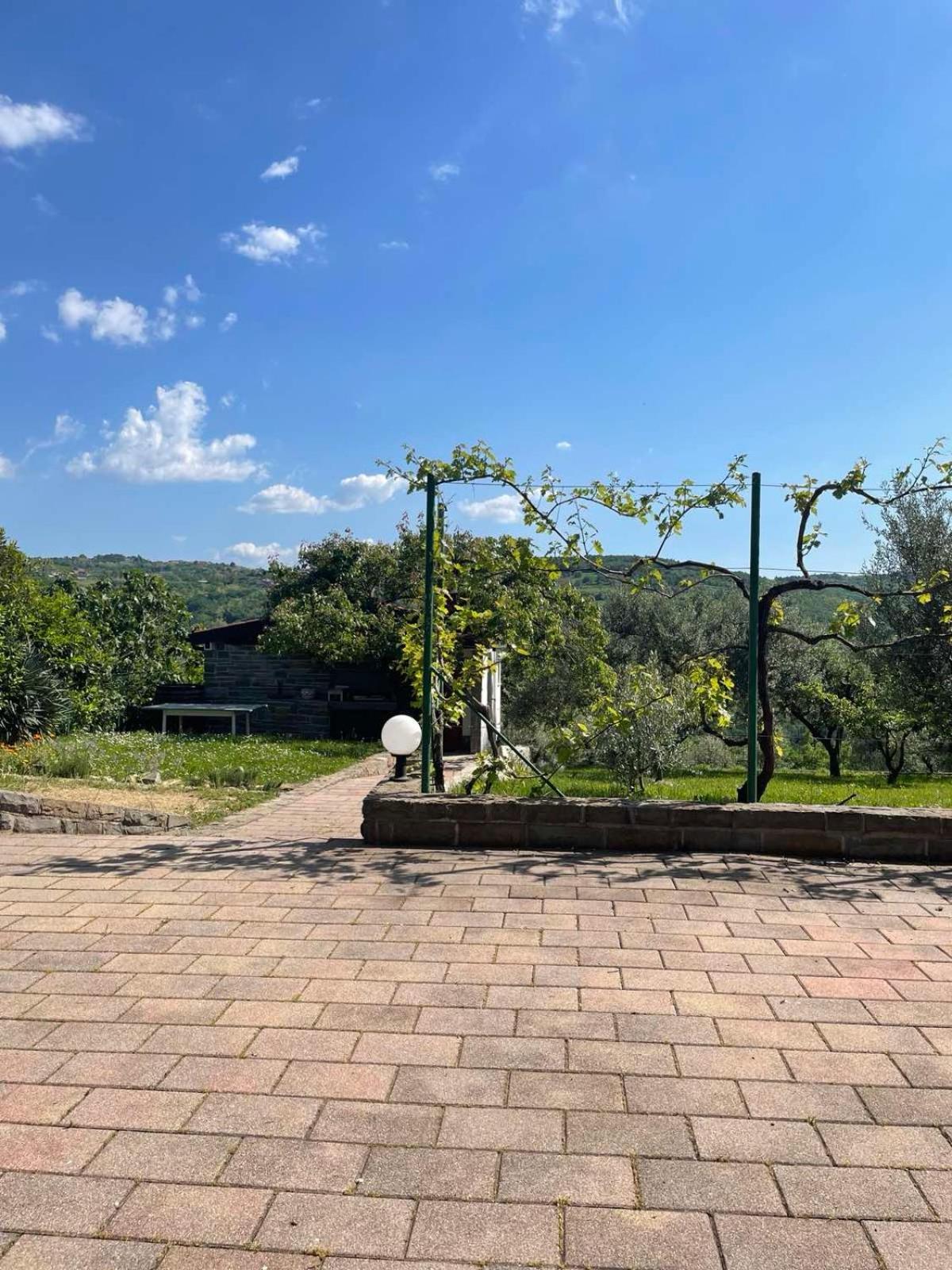 Olea Mar Apartma